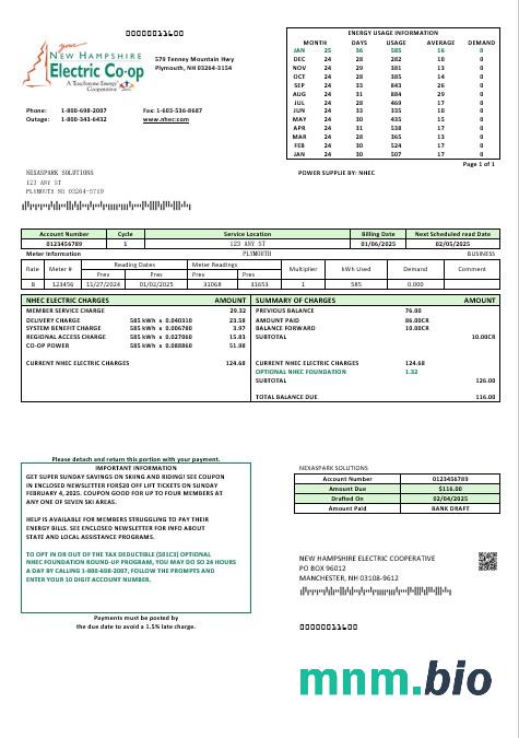 USA New Hampshire Electric Co-op electricity rachunek za usługi komunalne szablon w formacie Word i PDF